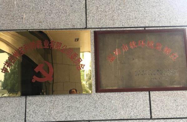 一哥鞋膠文案圖片5