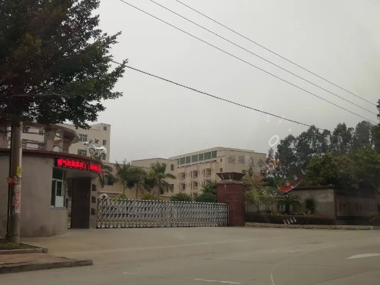 泉州輝麗海綿制品公司-一哥案例