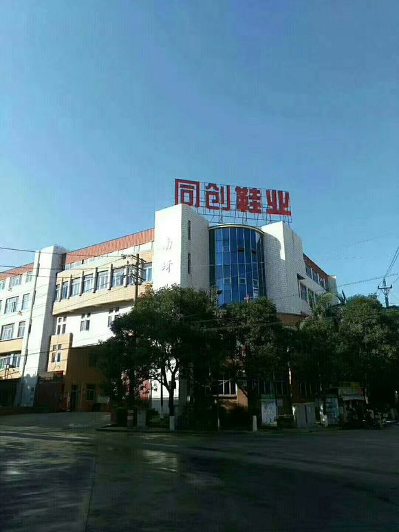 泉州同創(chuàng)鞋業(yè)有限公司-一哥案例