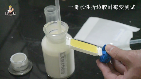 一哥水性折邊膠耐霉變測(cè)試